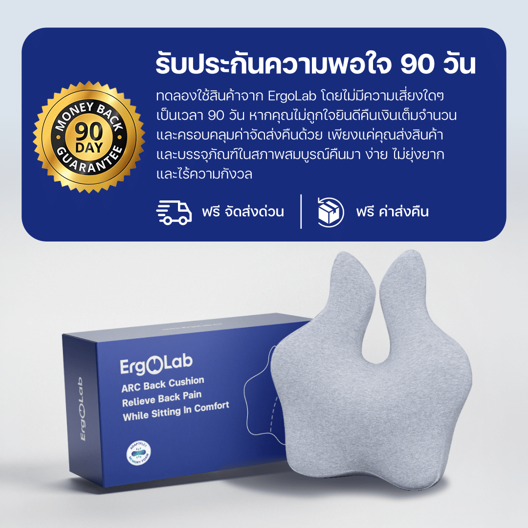 เบาะรองหลัง ERGOLAB 49X45X8 ซม. สีเทา_9